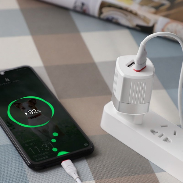 Сетевое зарядное устройство Hoco C55A Energy dual port charger (EU) - White